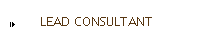 LEAD CONSULTANT